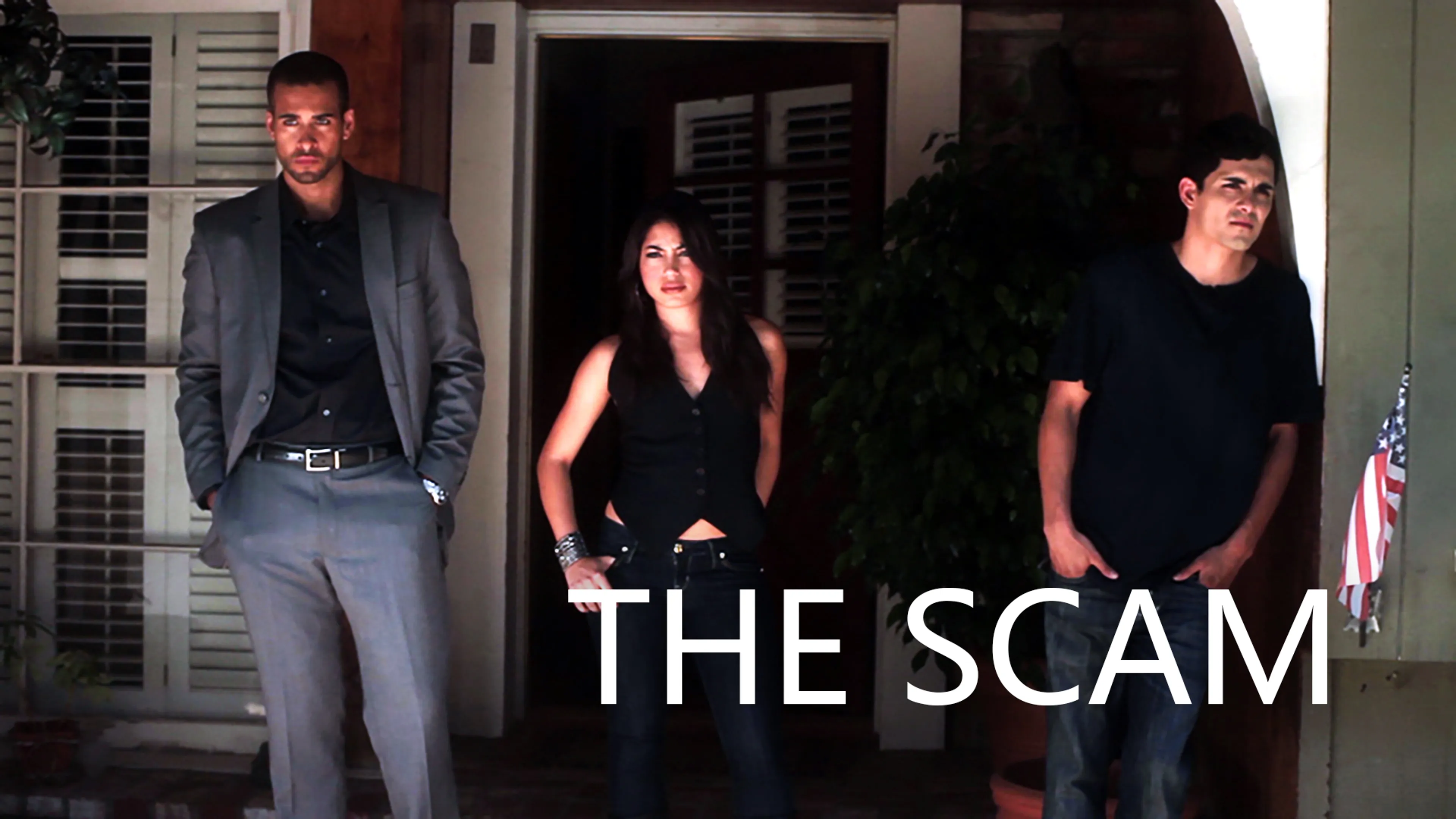 The Scam poster